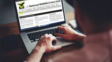 Reporting illegal wildlife trade online