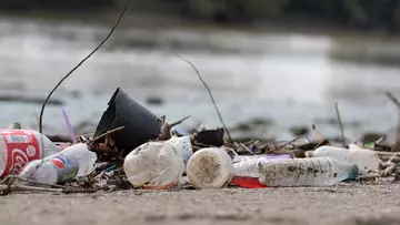 Old plastic bottles on a beach