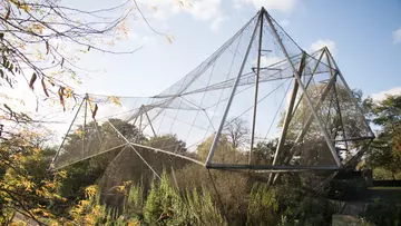 snowdon_aviary_structure_blue_skies