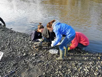 Researchers next to Thames getting samples