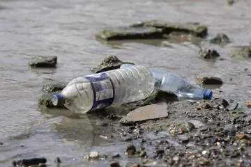 A plastic bottle washed up on a beach