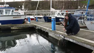 Conservationist lowering crate oysters into sea