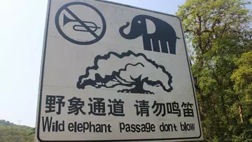 'Wild elephant pasage don't blow' sign in China
