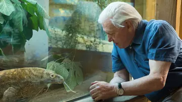 David Attenborough London Zoo