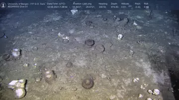 The view of the seabed at 974 m depth 