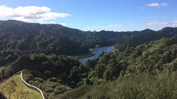 Hihi/stichbird habitat - Rotokare Scenic Nature Reserve