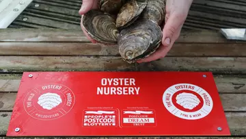 Oyster nursery sign, partnership with People's Postcode lottery 