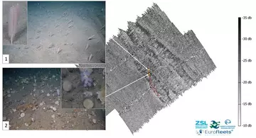 Backscatter map courtesy of Davíð Þór Óðinsson