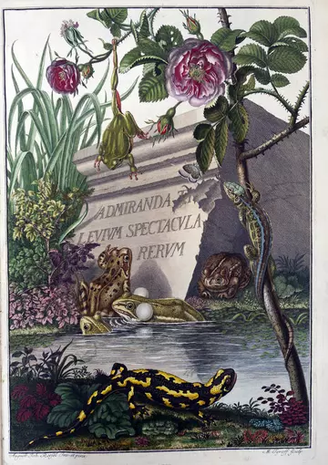 Title page of Historia naturalis Ranarum nostratium / Die natürliche Historie der Frösche hiesigen Landes