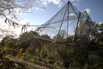 Snowdon Aviary London Zoo blue skies