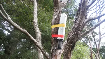 An acoustic recording devices positioned around the hihi habitat in Rotokare Scenic Nature Reserve