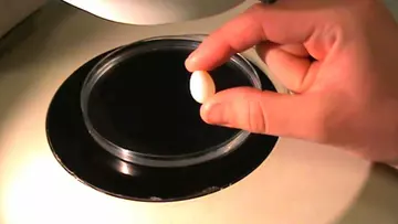 egg being held over dish
