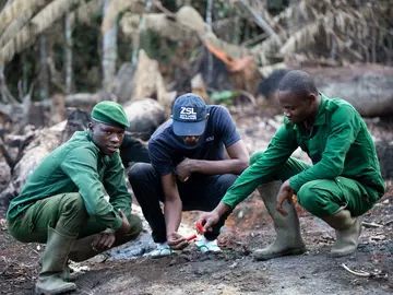 Three rangers squatting down during an anti-poaching patrol in Cameroon Dja faunal reserve, person in navy is a ZSL conservationist with a ZSL hat