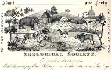 old zsl ticket