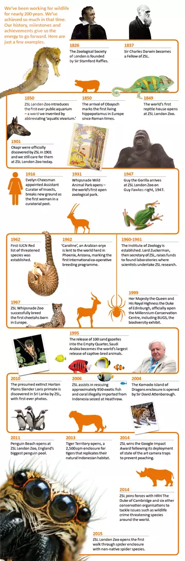 ZSL landmarks timeline infographic