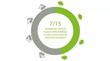 7/15 companies commit to zero deforestation or zero conversion of natural ecosystems 