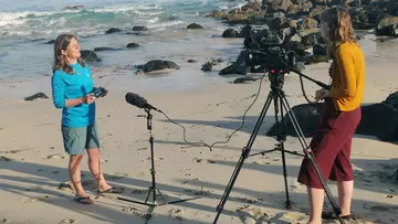 Heather Koldewey, ZSL Senior Technical Advisor speaking to camera on a beach