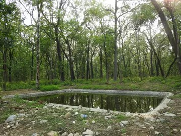 Man made waterhole (11m long and 8.5m wide) in an extension area of Parsa National Park