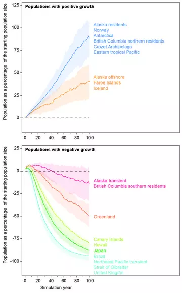 graph of killer whale populations