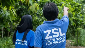 conservationist in Indonesia with ZSL tshirts on