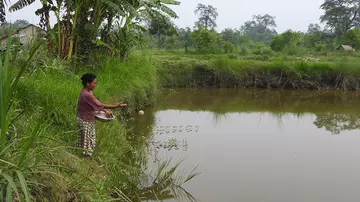 woman feeding fish in Nepal