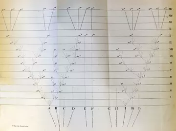 Darwin's Tree of Life