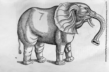 Elephant drawing from Konrad Gessner's Historiae animalium