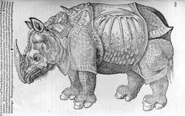 Rhinoceros drawing from Konrad Gessner's Historiae Animalium