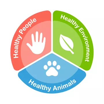 healthy people healthy environment healthy animals infographic
