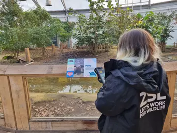 Observing tortoises with ZSL ZD Research
