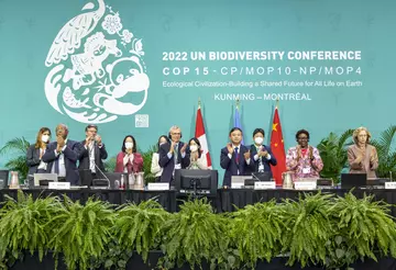 A group of delegates clapping at COP15