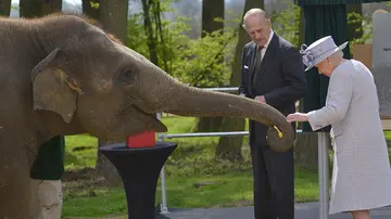 Queen and Prince Philip feeding Donna the elephant at Whipsnade Zoo