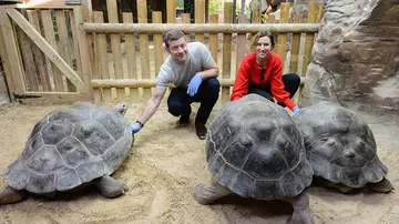 Dermot O’Leary & Dee Koppang O'Leary with turtles