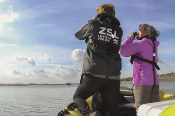 Seal Survey Thames Estuary 