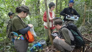 A group of people Setting up camera traps in Khlong Nakha Wildlife Sanctuary