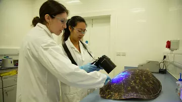 researchers demonstrating UV fingerprint camera on a turtle shell