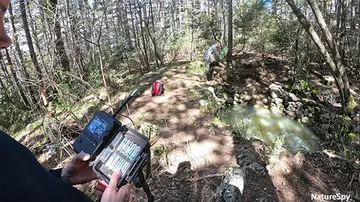 Conservationists in a forest in Croatia setting up camera traps