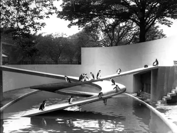 Lubetkin Penguin Pool black and white
