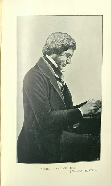 Alfred Russel Wallace portrait drawing in a book