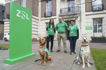 ZSL staff and two dogs outside the ZSL office in London