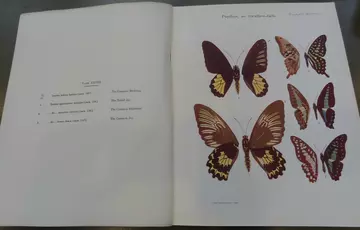 Lepidochromy butterfly book