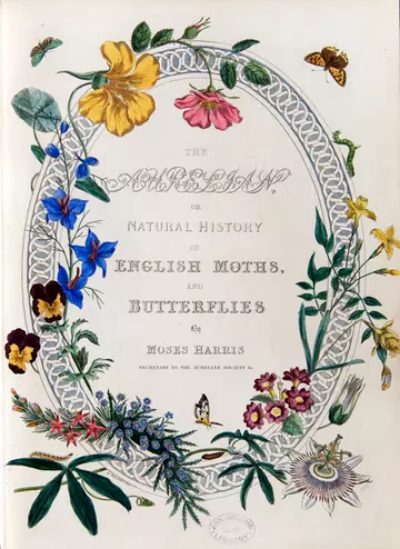 The Aurelian book butterflies