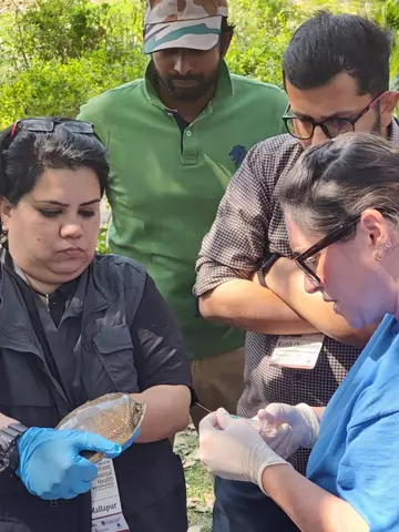 Training for turtle health check