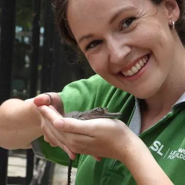 Phoebe with a gharial hatchling