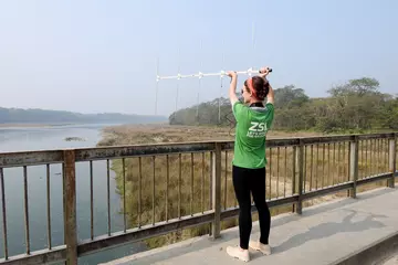 Phoebe tracking gharial