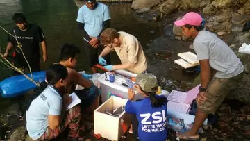 A group of people gathered round a river bed assessing eels in the Philippines