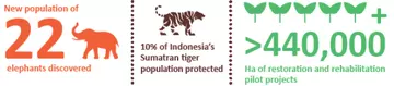 22 new populations of elephants discovered. 10% of Indonesia's Sumatran tiger population protected. >440,000 hectares of restoration and rehabilitation pilot projects