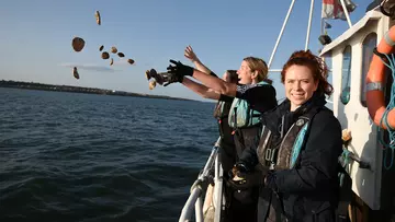 conservationists throwing oysters into the water