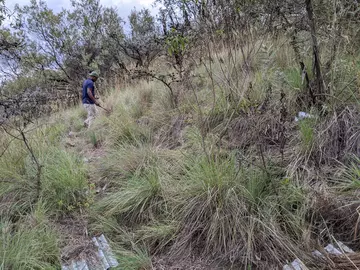 Kenya snake field site