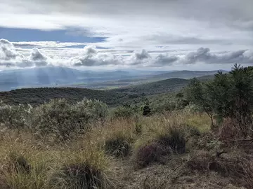 Savannah in Kenya